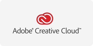 Logo Adobe Birth to Life