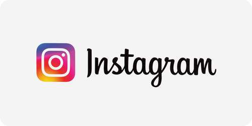 Logo Instagram Birth to Life